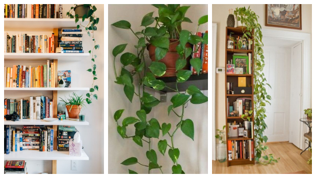 Προτάσεις & τρόποι για να τοποθετήσετε βιβλία & αντικείμενα σε ράφια - βιβλιοθήκες - Φωτογραφία 10