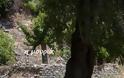 στο χώρο του παλιού μας σπιτιού, στο αέναο τώρα, μύρισα τις τριανταφυλλιές, γεύτηκα τις 