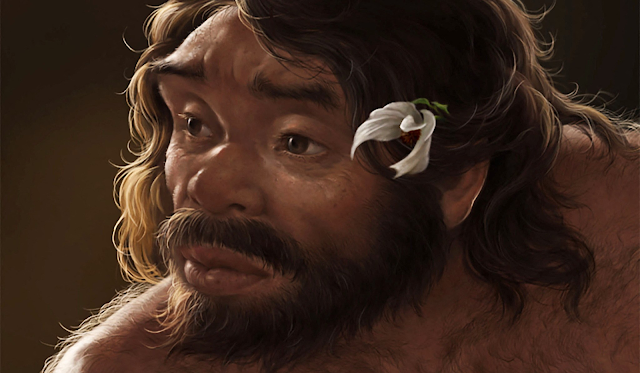 Πώς ένα κρανίο 1 εκατ. ετών «ξαναγράφει» την εξελικτική ιστορία του ανθρώπου - Φωτογραφία 1