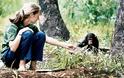 Πέθανε η κορυφαία ερευνήτρια Dr Jane Goodall - Φωτογραφία 2
