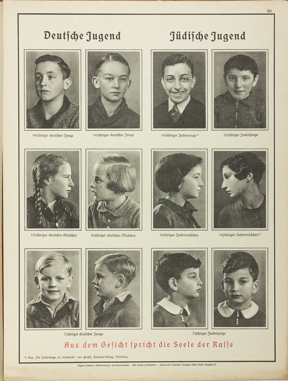 Η βιολογία στο εκπαιδευτικό σύστημα της ναζιστικής Γερμανίας - Φωτογραφία 4