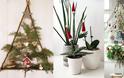 Φυσική μαγεία: Χριστουγεννιάτικη διακόσμηση με οικολογική συνείδηση - Φωτογραφία 2
