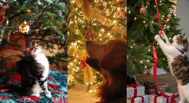 Πώς να στολίσετε όταν έχετε κατοικίδια: Ασφάλεια & γιορτινή ατμόσφαιρα μαζί - Φωτογραφία 2