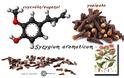 μαθαίνω – ποια είναι η πανίσχυρη ευγενόλη/eugenol και ποιου γνωστού μας μπαχαρικού είναι συστατικό!