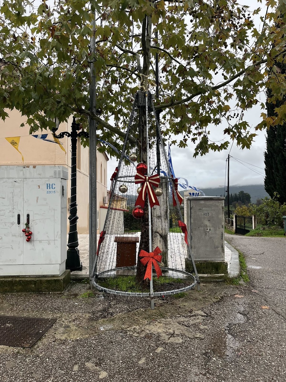 Δημήτρης Μπενέκος : Παρότι η βροχή δεν σταμάτησε στιγμή, σήμερα ζήσαμε μια από τις πιο όμορφες στιγμές μας: το άναμα του  Χριστουγεννιάτικου δέντρου! - Φωτογραφία 3