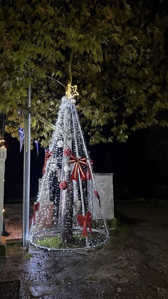 Δημήτρης Μπενέκος : Παρότι η βροχή δεν σταμάτησε στιγμή, σήμερα ζήσαμε μια από τις πιο όμορφες στιγμές μας: το άναμα του  Χριστουγεννιάτικου δέντρου! - Φωτογραφία 4