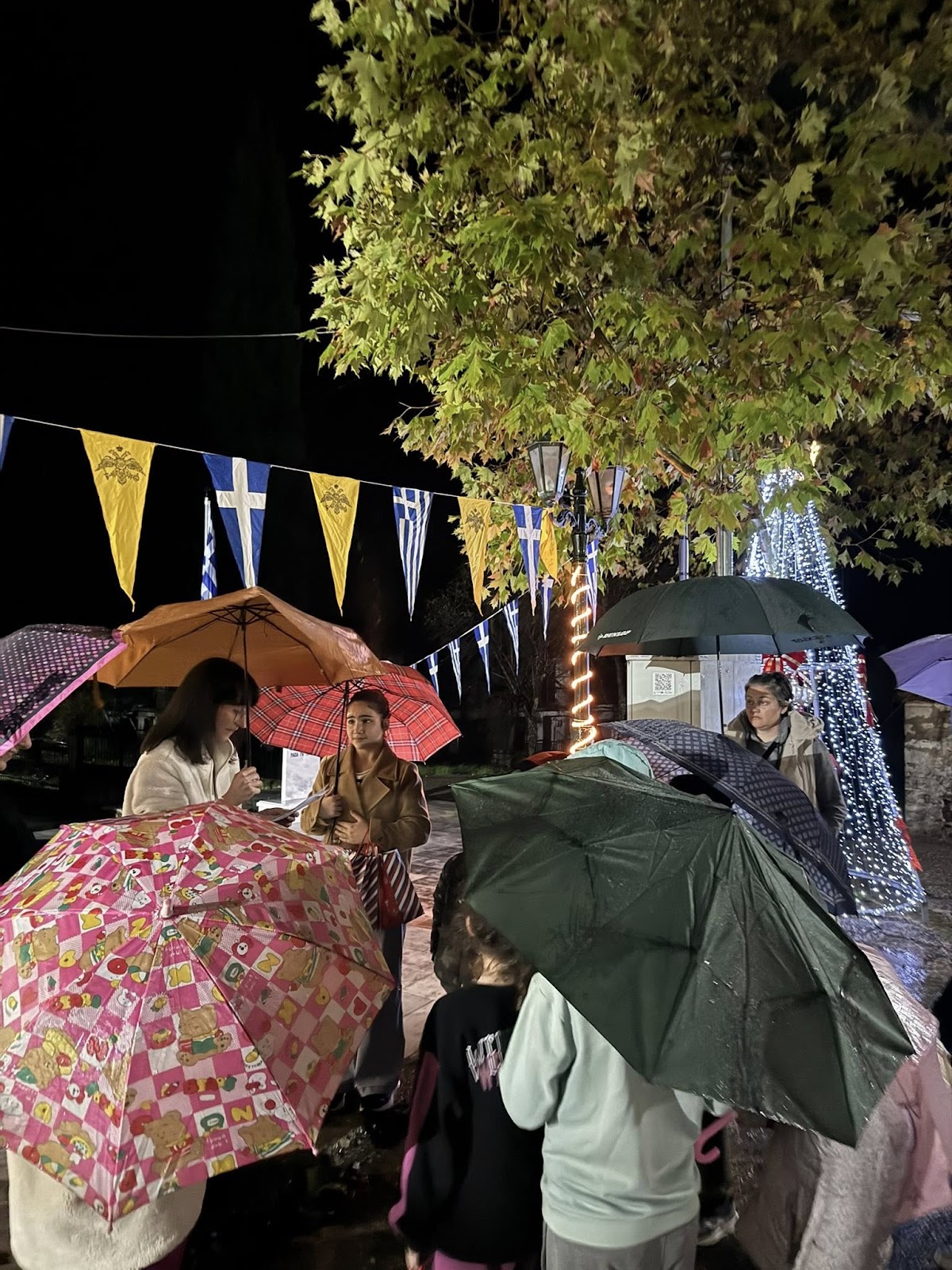 Δημήτρης Μπενέκος : Παρότι η βροχή δεν σταμάτησε στιγμή, σήμερα ζήσαμε μια από τις πιο όμορφες στιγμές μας: το άναμα του  Χριστουγεννιάτικου δέντρου! - Φωτογραφία 7