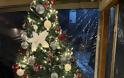 Δημήτρης Μπενέκος : Παρότι η βροχή δεν σταμάτησε στιγμή, σήμερα ζήσαμε μια από τις πιο όμορφες στιγμές μας: το άναμα του  Χριστουγεννιάτικου δέντρου! - Φωτογραφία 18