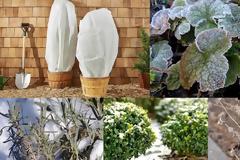 Τι να χρειάζετε να κάνετε και τι να αποφύγετε  στον κήπο τους κρύους μήνες