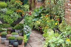 Βιώσιμοι κήποι: πρακτικές συμβουλές για έναν φιλικό προς το περιβάλλον κήπο