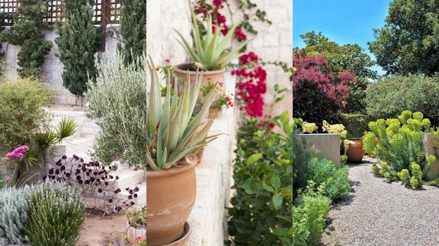 Πως να σχεδιάσετε έναν λειτουργικό κήπο ανεξάρτητα από το μέγεθός του - Φωτογραφία 2