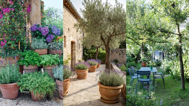 Πως να επιλέξετε τα κατάλληλα φυτά για τον κήπο σας - Φωτογραφία 2