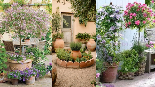 Πως να επιλέξετε τα κατάλληλα φυτά για τον κήπο σας - Φωτογραφία 3