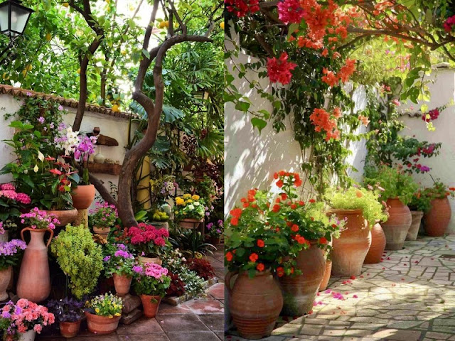 Πως να επιλέξετε τα κατάλληλα φυτά για τον κήπο σας - Φωτογραφία 4