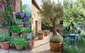 Πως να επιλέξετε τα κατάλληλα φυτά για τον κήπο σας - Φωτογραφία 2
