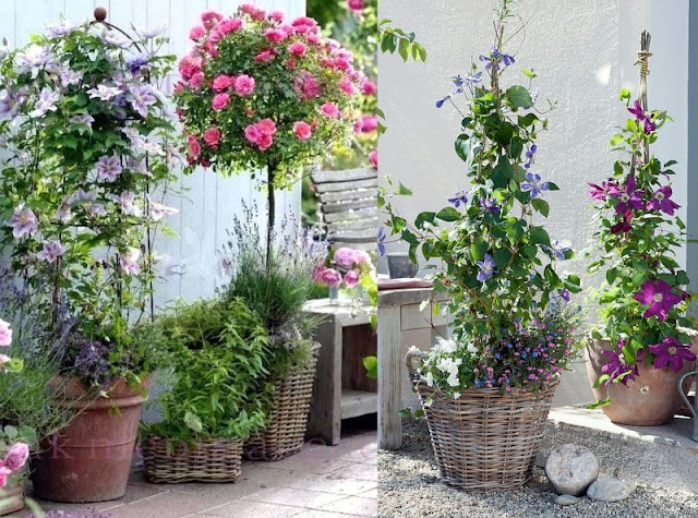 Τι κάνει έναν κήπο εύκολο στην συντήρησή του - Φωτογραφία 4