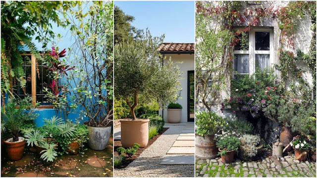 Διαμόρφωση κήπου: Σε τι αξίζει να επενδύσετε κα σε τι όχι - Φωτογραφία 7