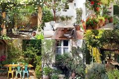 Διαμόρφωση κήπου: Σε τι αξίζει να επενδύσετε κα σε τι όχι