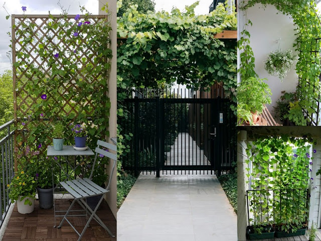 Σκίαση σε αυλές και μπαλκόνια: Λειτουργικές λύσεις με φυσικά υλικά - Φωτογραφία 2