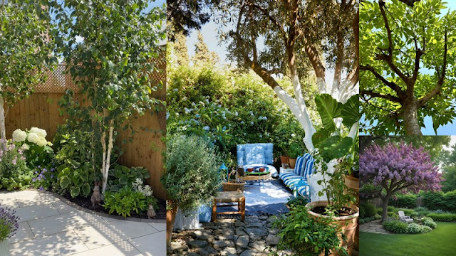 Σκίαση σε αυλές και μπαλκόνια: Λειτουργικές λύσεις με φυσικά υλικά - Φωτογραφία 5