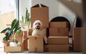 Μετακόμιση: Πώς να οργανώσετε σωστά το νέο σας σπίτι - Φωτογραφία 6