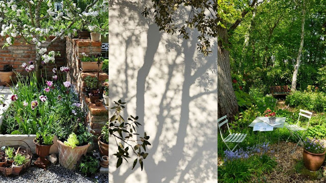 Η σχέση ανθρώπου και φυτού πέρα από την φροντίδα - Φωτογραφία 3