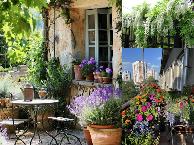 Η σχέση ανθρώπου και φυτού πέρα από την φροντίδα - Φωτογραφία 4