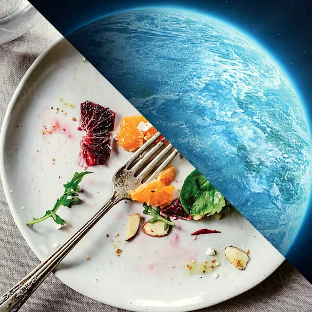 Σπατάλη τροφίμων. Πόσα τρόφιμα πετάμε πραγματικά κάθε χρόνο - Φωτογραφία 2