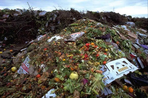 Σπατάλη τροφίμων. Πόσα τρόφιμα πετάμε πραγματικά κάθε χρόνο - Φωτογραφία 7