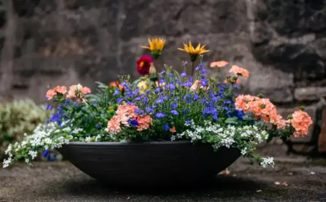 Σύνθετες γλάστρες: Ο σωστός συνδυασμός φυτών - Φωτογραφία 7