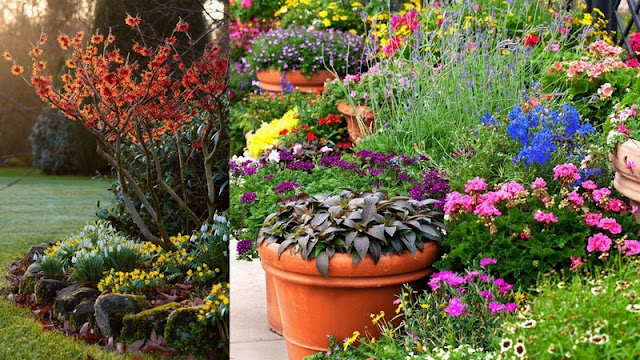 Προετοιμασία κήπου πριν την άνοιξη - Φωτογραφία 2