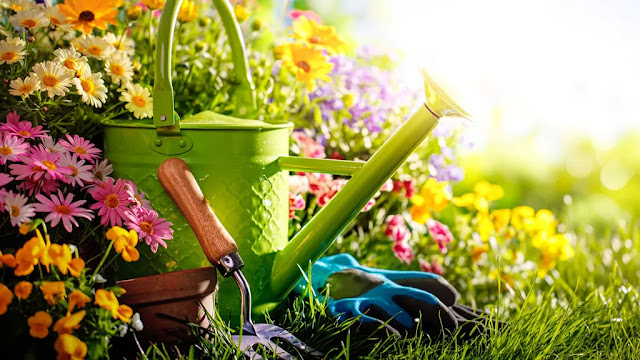 Προετοιμασία κήπου πριν την άνοιξη - Φωτογραφία 5