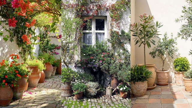 Προετοιμασία κήπου πριν την άνοιξη - Φωτογραφία 6