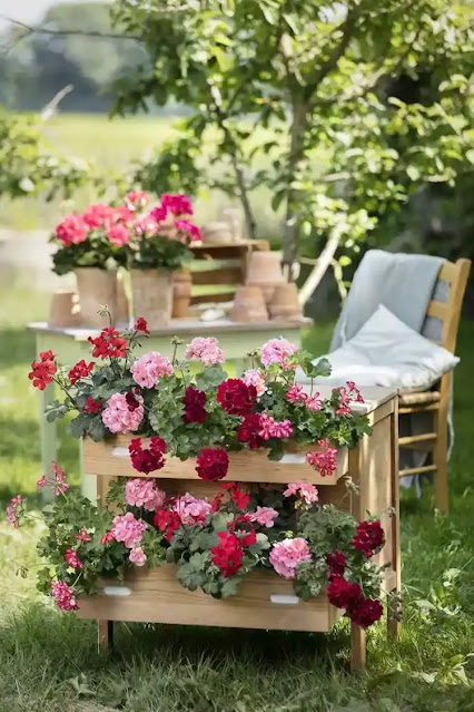 20+ Διαμορφώσεις εξωτερικών χώρων με Γεράνια - Φωτογραφία 13