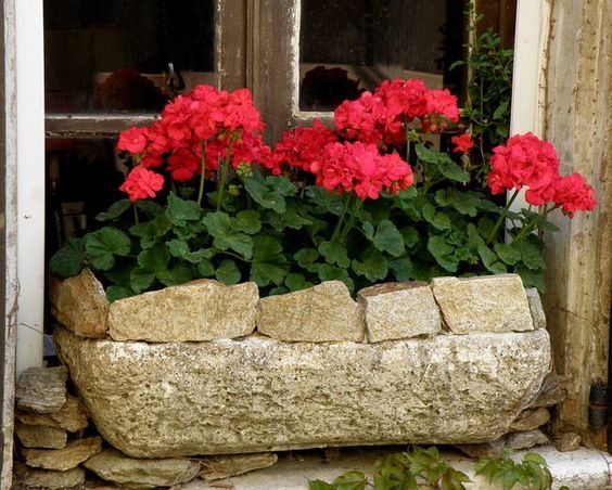 20+ Διαμορφώσεις εξωτερικών χώρων με Γεράνια - Φωτογραφία 16