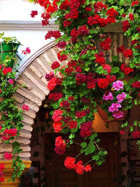 20+ Διαμορφώσεις εξωτερικών χώρων με Γεράνια - Φωτογραφία 19