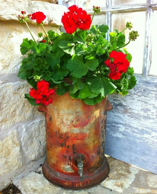 20+ Διαμορφώσεις εξωτερικών χώρων με Γεράνια - Φωτογραφία 21