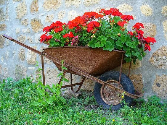 20+ Διαμορφώσεις εξωτερικών χώρων με Γεράνια - Φωτογραφία 25