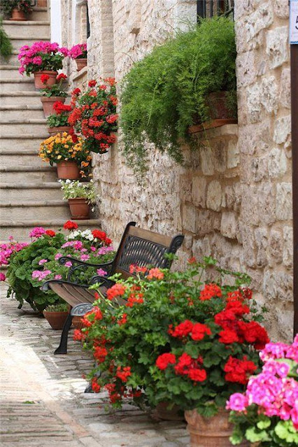 20+ Διαμορφώσεις εξωτερικών χώρων με Γεράνια - Φωτογραφία 26