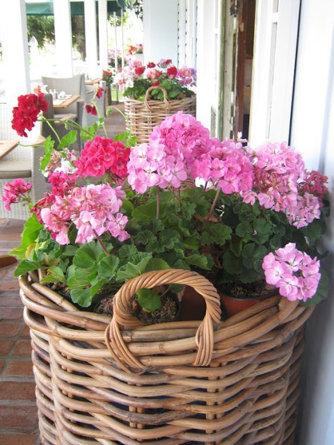 20+ Διαμορφώσεις εξωτερικών χώρων με Γεράνια - Φωτογραφία 28