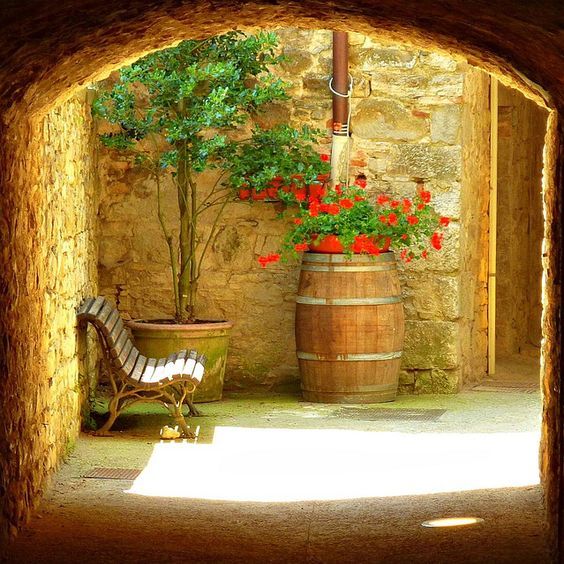 20+ Διαμορφώσεις εξωτερικών χώρων με Γεράνια - Φωτογραφία 29