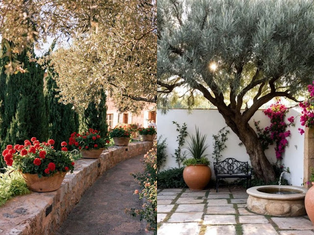 Τι σημαίνει πραγματικά μεσογειακός κήπος - Φωτογραφία 3