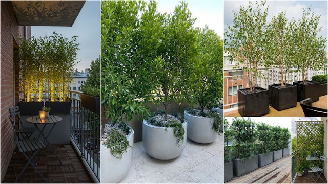 Πώς να δημιουργήσετε σκιά σε μπαλκόνι χωρίς τέντα - Φωτογραφία 4