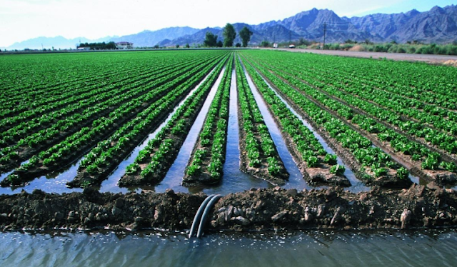 Υδάτινοι πόροι: πού πραγματικά καταναλώνεται το περισσότερο νερό - Φωτογραφία 4