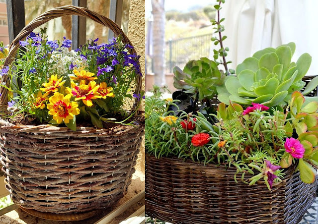 Φυτά σε ψάθινα καλάθια: φυσική διακόσμηση για εξωτερικούς χώρους - Φωτογραφία 10