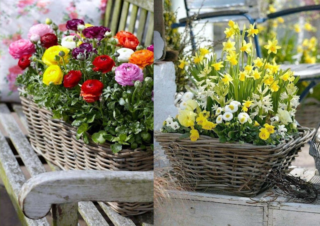 Φυτά σε ψάθινα καλάθια: φυσική διακόσμηση για εξωτερικούς χώρους - Φωτογραφία 11