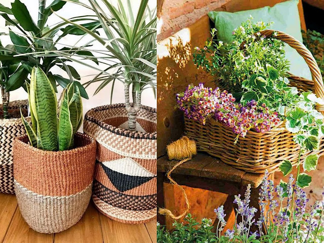Φυτά σε ψάθινα καλάθια: φυσική διακόσμηση για εξωτερικούς χώρους - Φωτογραφία 9