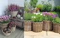 Φυτά σε ψάθινα καλάθια: φυσική διακόσμηση για εξωτερικούς χώρους - Φωτογραφία 12