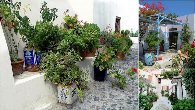 Γιατί οι παλιοί κήποι διαθέτουν μια ιδιαίτερη γοητεία - Φωτογραφία 4