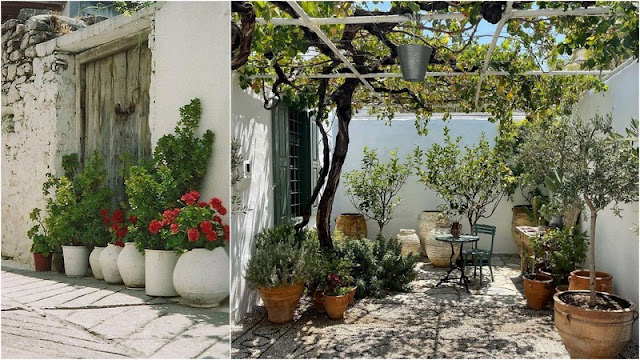 Γιατί οι παλιοί κήποι διαθέτουν μια ιδιαίτερη γοητεία - Φωτογραφία 6